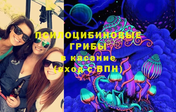 PSILOCYBIN Арсеньев